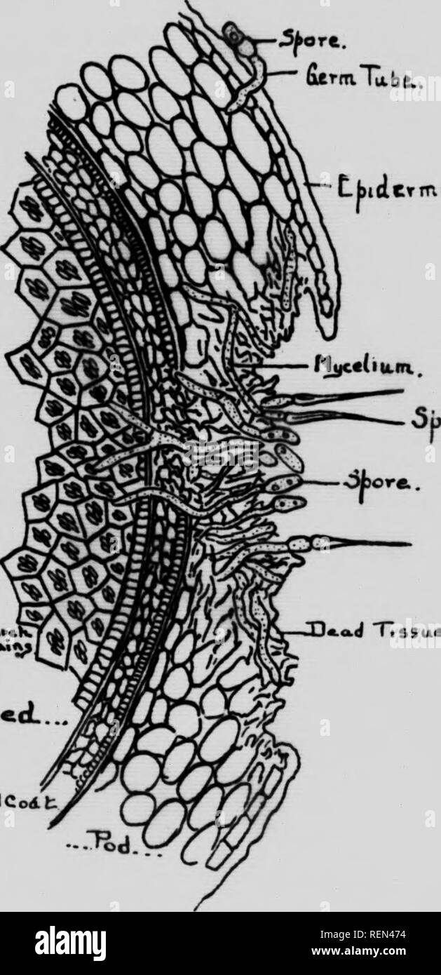 ibet88 - Khám Phá Những Điều Thú Vị and Ý Nghĩa Đằng Sau